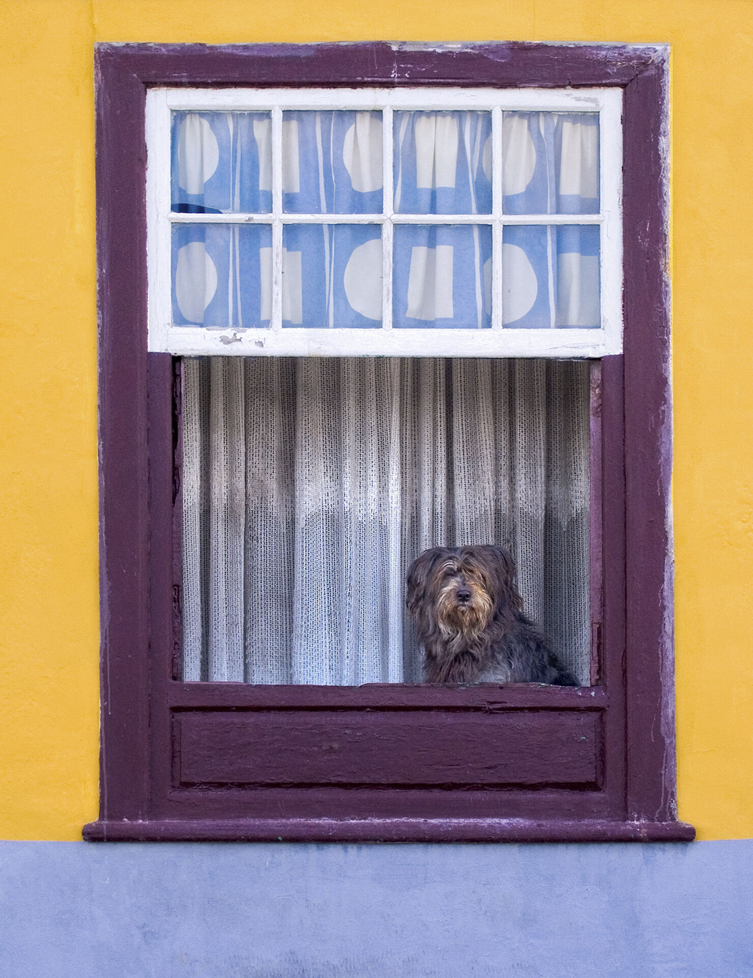 Jorge Murgiondo