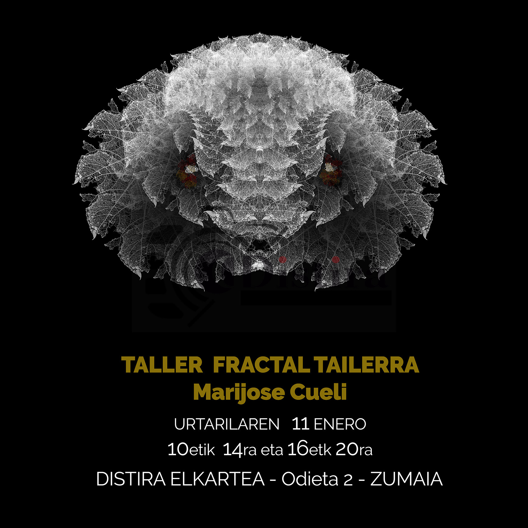 cartel taller fractal b